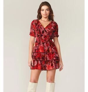 Adelyn Rae Khalia Burnout Red gold Velvet ruffle dress Mini Dress Womens Medium